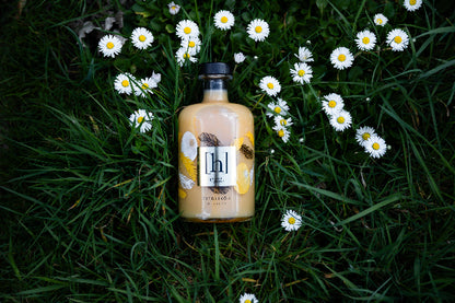 Egg Eierlikör auf Wiese liegend, Deko perfekt für Ostern oder Weihnachten