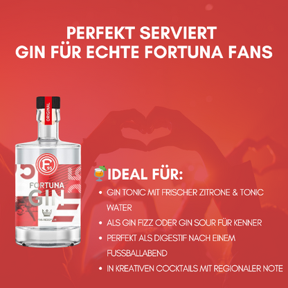 Rezepte wie Gin Tonic, Gin Fizz, Gin Sour, Digestif nach Fußball, kreative Cocktails