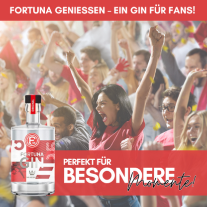 Ein Gin für Fans, perfekt für besondere Momente, Fans jubeln im Stadion